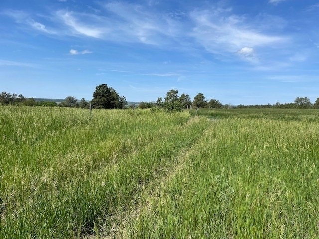 pastures land asl;kj.jpg